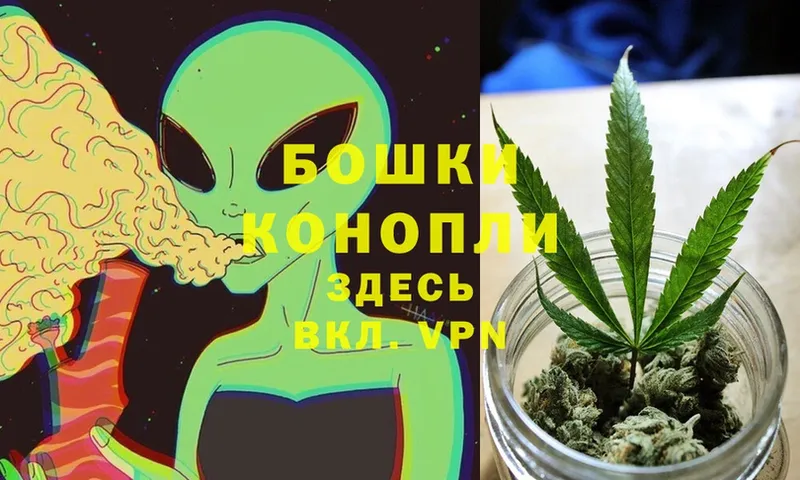 omg ONION  Талица  Конопля White Widow 